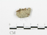 登錄號:F0015182藏品圖，第3張