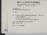 登錄號:F0015184藏品圖，第2張