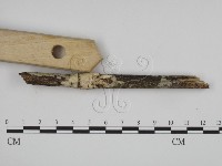 登錄號:F0015184藏品圖，第3張
