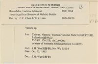 登錄號:F0015184藏品圖，第4張