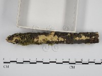 登錄號:F0015187藏品圖，第3張