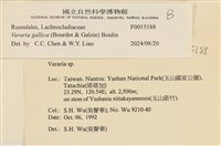 登錄號:F0015188藏品圖，第3張