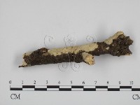 登錄號:F0015189藏品圖，第3張