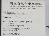 登錄號:F0015190藏品圖，第2張