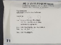 登錄號:F0015191藏品圖，第2張
