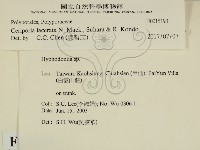 登錄號:F0015193藏品圖，第2張