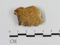 登錄號:F0015193藏品圖，第1張