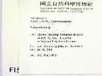假芝屬藏品圖，第2張