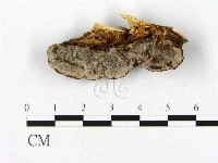 登錄號:F0015196藏品圖，第3張