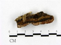 登錄號:F0015196藏品圖，第4張