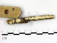 登錄號:F0015197藏品圖，第3張