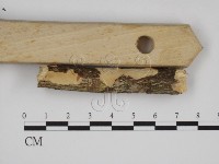 登錄號:F0015198藏品圖，第1張