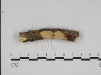 登錄號:F0015198藏品圖，第3張