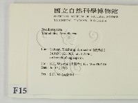 登錄號:F0015199藏品圖，第2張