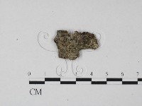 登錄號:F0015199藏品圖，第1張