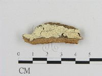 登錄號:F0015201藏品圖，第1張