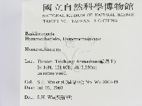 刺革菌屬藏品圖，第2張