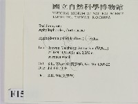 登錄號:F0015203藏品圖，第2張