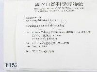 登錄號:F0015208藏品圖，第2張