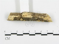 登錄號:F0015208藏品圖，第3張