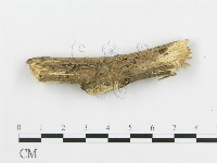 登錄號:F0015208藏品圖，第4張
