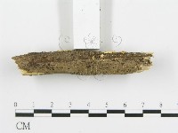 登錄號:F0015208藏品圖，第5張