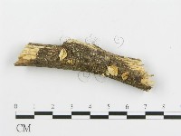 登錄號:F0015208藏品圖，第6張