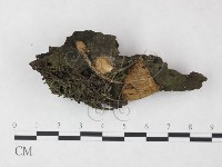 登錄號:F0015211藏品圖，第1張