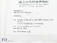 登錄號:F0015213藏品圖，第2張