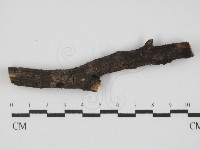 登錄號:F0015217藏品圖，第1張