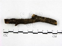 登錄號:F0015217藏品圖，第3張
