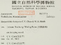 登錄號:F0015218藏品圖，第2張