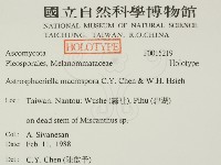 登錄號:F0015219藏品圖，第2張