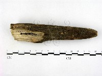 登錄號:F0015220藏品圖，第3張