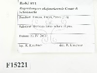 登錄號:F0015221藏品圖，第2張