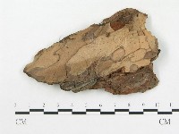 登錄號:F0015221藏品圖，第1張