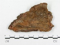 登錄號:F0015221藏品圖，第3張