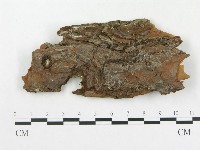 登錄號:F0015222藏品圖，第1張