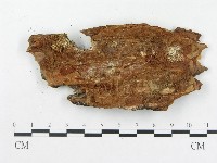 登錄號:F0015222藏品圖，第3張