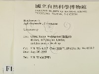 登錄號:F0015225藏品圖，第2張