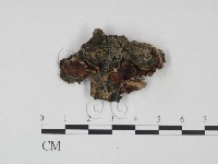 登錄號:F0015225藏品圖，第1張