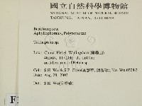 附毛菌屬藏品圖，第2張