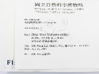 登錄號:F0015227藏品圖，第2張