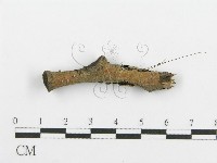 登錄號:F0015227藏品圖，第3張