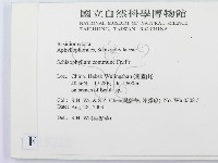 裂褶菌藏品圖，第2張