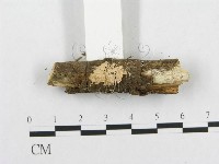 登錄號:F0015229藏品圖，第1張