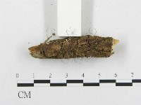 登錄號:F0015229藏品圖，第3張