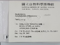 附毛菌屬藏品圖，第2張