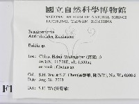 登錄號:F0015231藏品圖，第2張
