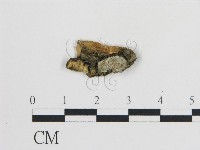 登錄號:F0015232藏品圖，第1張